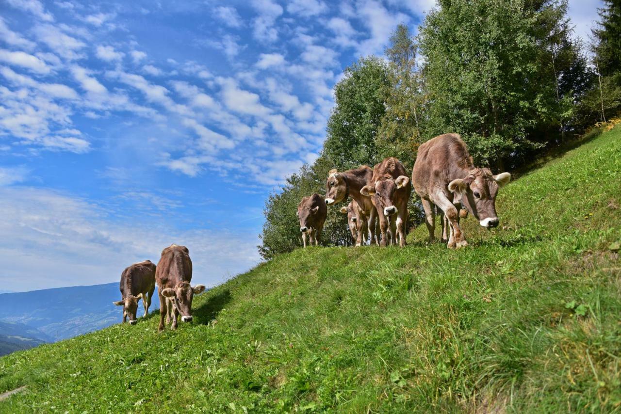 Obererhof Lejlighed Sant'Andrea in Monte Eksteriør billede